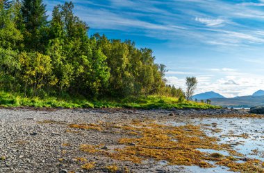 Hakoya - the 3.69-square-kilometre island located in the Sandnessundet strait between the islands Kvaloya and Tromsoya in Troms county, Norway.