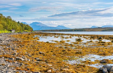 Hakoya - the 3.69-square-kilometre island located in the Sandnessundet strait between the islands Kvaloya and Tromsoya in Troms county, Norway.
