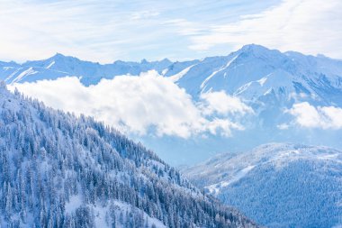 Kar ile kış manzara Tirol Avusturya eyaletinde Seefeld Alps kaplıdır. Avusturya 'da kış