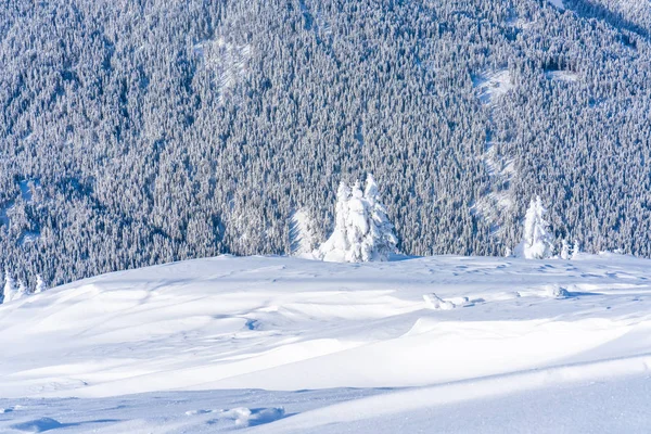 Paesaggio Invernale Con Alberi Innevati Alpi Seefeld Nello Stato Austriaco — Foto Stock