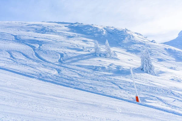 冬季景观与雪覆盖了阿尔卑斯在塞费尔德在奥地利蒂罗尔州 冬季在奥地利 — 图库照片