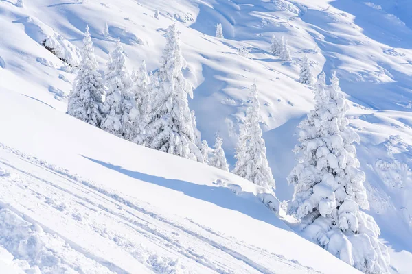 Paisaje Invernal Con Árboles Cubiertos Nieve Alpes Seefeld Estado Austríaco — Foto de Stock