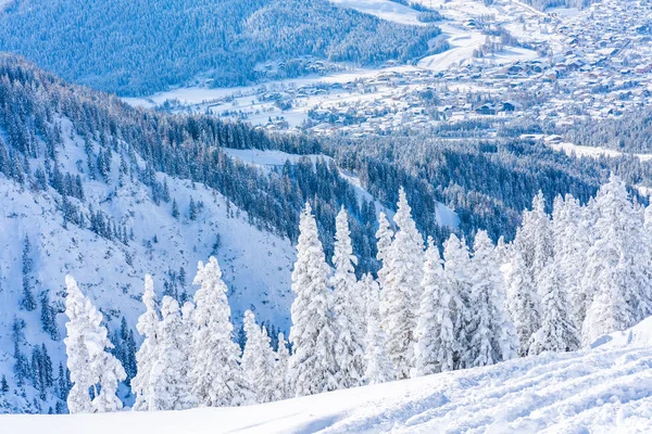 Paisagem Inverno Com Neve Coberta Alpes Vista Aérea Seefeld Estado — Fotografia de Stock