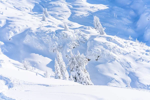 Paisaje Invernal Con Árboles Cubiertos Nieve Alpes Seefeld Estado Austríaco — Foto de Stock