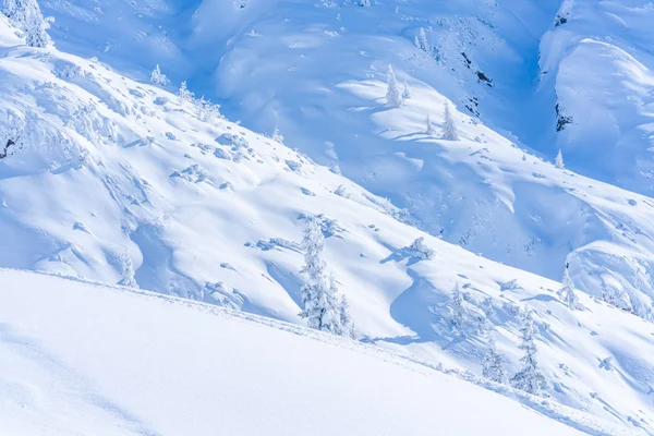 Téli Táj Hóval Borított Fákkal Alpok Seefeld Osztrák Állam Tirol — Stock Fotó