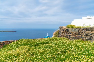 Oia, Santorini, Yunanistan'da yabani çiçekler ve Ege Denizi manzarası