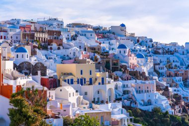 Oia, Yunanistan'da beyaz badanalı bina ve kiliseler manzaralı Santorini peyzaj