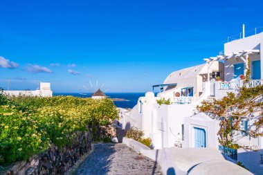 Oia, Santorini, Yunanistan'da beyaz badanalı geleneksel evler