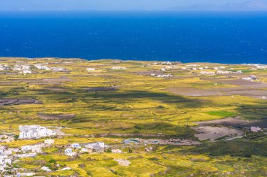 Yabani çiçekler ve Ege Denizi ile Oia yakınlarındaki Kırsal Santorini manzara, Yunanistan
