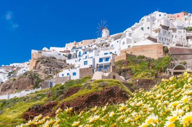Oia, Yunanistan'da beyaz badanalı binalar ve yel değirmenleri manzaralı Santorini peyzaj