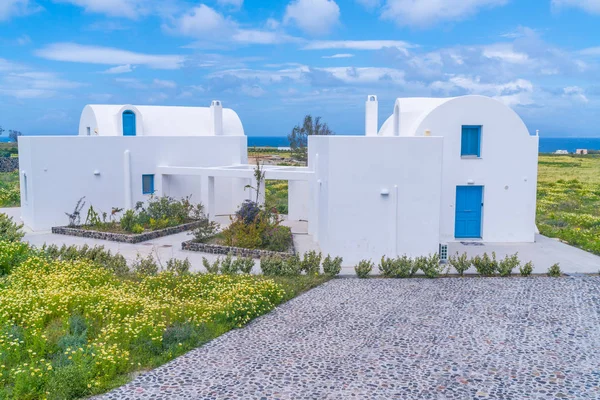 Yabani Çiçeklerle Çevrili Geleneksel Beyaz Evi Ile Kırsal Santorini Manzara — Stok fotoğraf