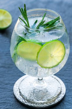 Kireç ve biberiye ile cin ve tonik kokteyl - ferahlatıcı yaz alkoholic içecek