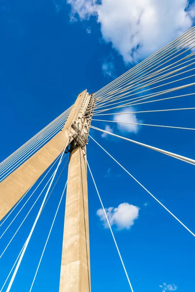 ワルシャワ ポーランド 2019年7月18日 ワルシャワのヴィスチュラ川に架かるスウィートクルジスキー橋のスチールケーブル 東の川岸に位置する単一の塔は デッキを支える48本のケーブルが取り付けられています — ストック写真