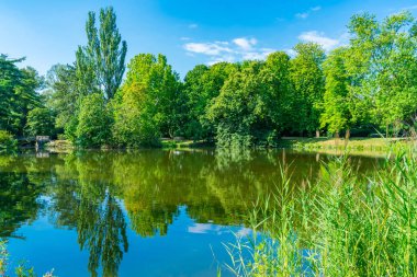 Ujazdow Park'ta küçük bir göl, Varşova'da halka açık park, Polonya