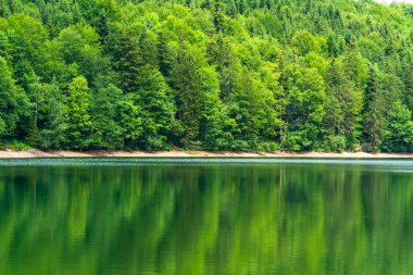 Yukarı Avusturya'da Nussensee gölü Salzkammergut Bad Ischl yakınında bulunan.
