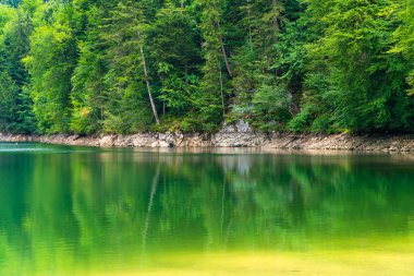Yukarı Avusturya'da Nussensee gölü Salzkammergut Bad Ischl yakınında bulunan.