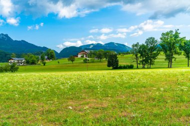 Avusturya'nın Salzburg eyaletinde Strobl yakınlarındaki kırsal arazi.
