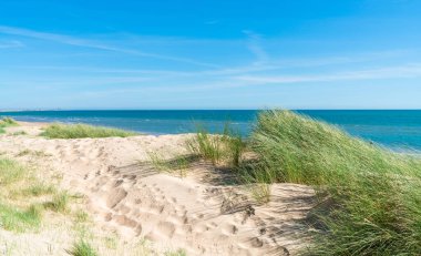Camber Sands beach in East Sussex, in the village of Camber, UK. The 3 miles stretch is the only sand dune beach in East Sussex. clipart