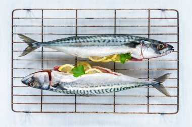 Beyaz arkaplanda iki çiğ uskumru - genel görünüm