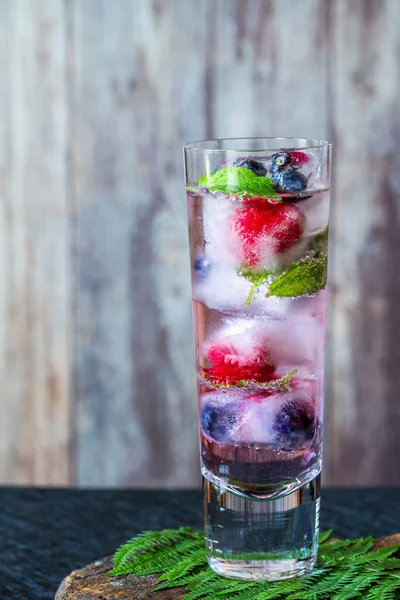 Gin Und Tonic Cocktail Mit Fruchteiswürfeln Und Minze Erfrischende Idee — Stockfoto