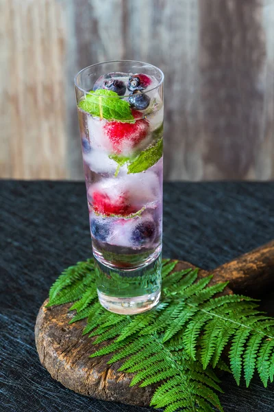 Gin Und Tonic Cocktail Mit Fruchteiswürfeln Und Minze Erfrischende Idee — Stockfoto