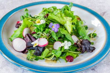 Turplu yeşil yaprak salatası, salatalık ve bol balzamik soslu - sağlıklı yemek.