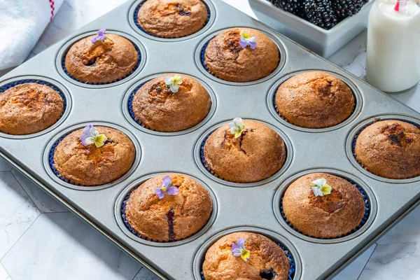 Friands Moras Almendras Recién Horneadas Pasteles Pequeños Populares Australia Nueva — Foto de Stock