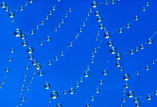 Spiderweb Bedekt Met Waterdruppels Extreme Macro Met Selectieve Focus — Stockfoto
