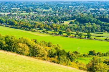 Sonbahar renklerinde İngiliz kırsal manzarası Surrey, İngiltere 'de North Downs.