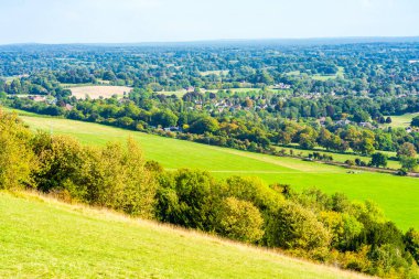 Sonbahar renklerinde İngiliz kırsal manzarası Surrey, İngiltere 'de North Downs.