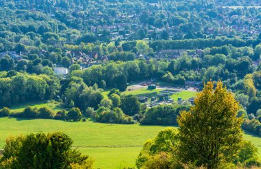 Sonbahar renklerinde İngiliz kırsal manzarası, Surrey 'de Kuzey Tepeleri