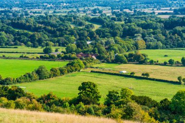 Sonbahar renklerinde İngiliz kırsal manzarası Surrey, İngiltere 'de North Downs.