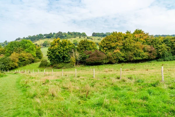 Widok Angielskiej Wsi Kolorach Jesiennych North Downs Surrey — Zdjęcie stockowe