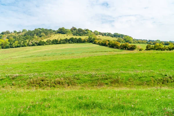 Utsikt Över Den Engelska Landsbygden Höstfärger North Downs Surrey — Stockfoto