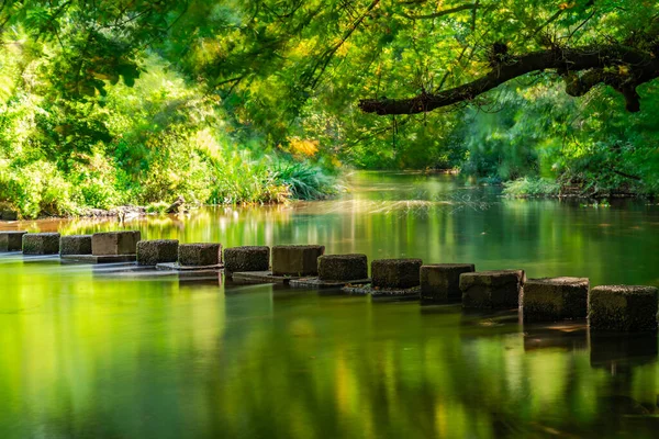 Stepping Stones River Mole Surrey — стокове фото