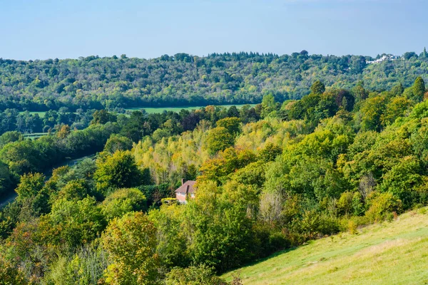 Över Engelsk Landsbygd Höstfärger North Downs Surrey Storbritannien — Stockfoto
