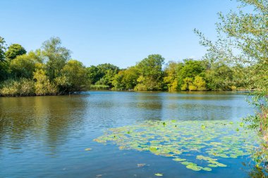 Essex, İngiltere 'deki Epping Ormanı' nda Connaught Su Gölü