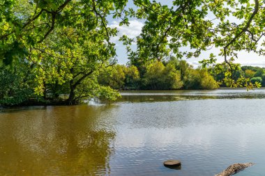 Essex, İngiltere 'deki Epping Ormanı' nda Connaught Su Gölü