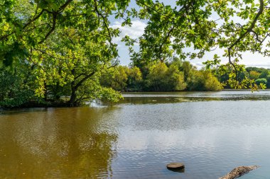 Connaught Water lake in Epping Forest in Essex, England clipart
