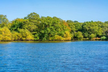 Essex, İngiltere 'deki Epping Ormanı' nda Connaught Su Gölü