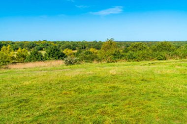 Essex, İngiltere 'deki Epping Ormanı' nın kıyısından kırsal manzara