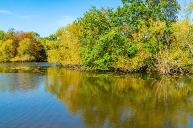 Essex, İngiltere 'deki Epping Ormanı' nda Connaught Su Gölü