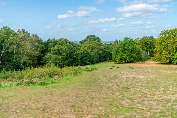 View Countryside Edge Epping Forest Essex England — Stock Photo, Image