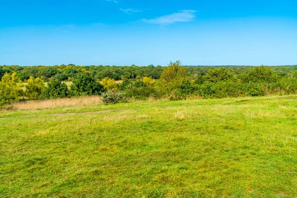 Över Landskapet Från Kanten Epping Forest Essex England — Stockfoto