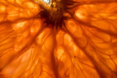 Arkaplan olarak bir dilim turuncu - seçici odaklı ekstrem makro