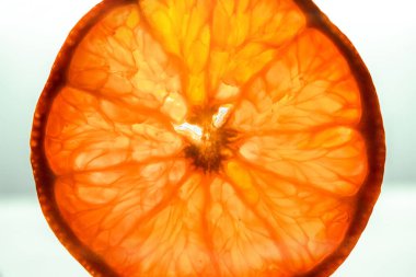 Arkaplan olarak bir dilim turuncu - seçici odaklı ekstrem makro