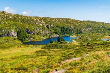 Norveç, Bergen yakınlarındaki Ulriken Dağı 'nda küçük bir gölü olan güzel bir manzara.