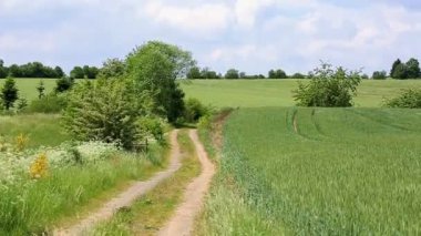 Yaz alan yol ve mavi gökyüzü güneş ile.