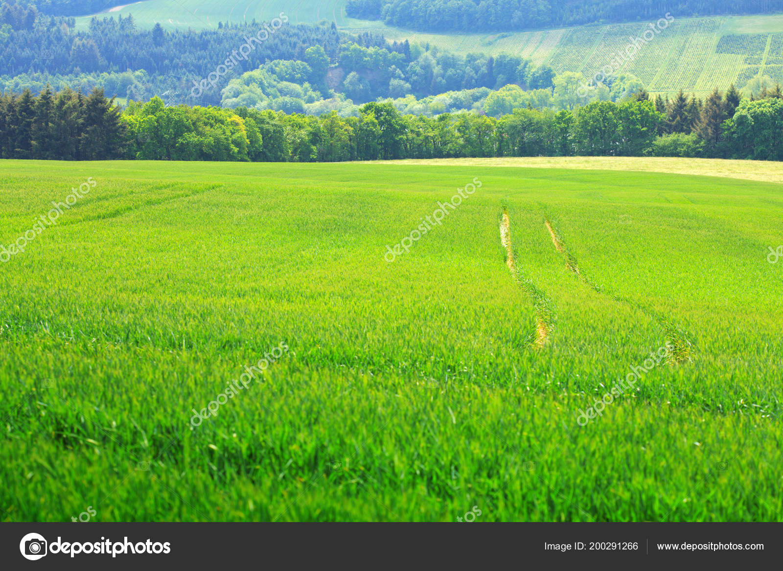 Shades Green Wheat Fields Landscape Scene Tractor Stock Photo by