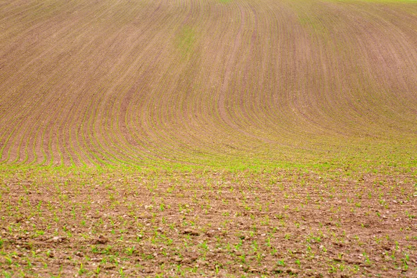Boerderij Veld Landbouw Landschap Gecultiveerd Achtergrond Van Een Veld Bruin — Stockfoto